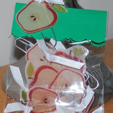 Bag of my Apple paper clips/bookmarks