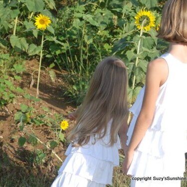 Girls in the Sunflowers