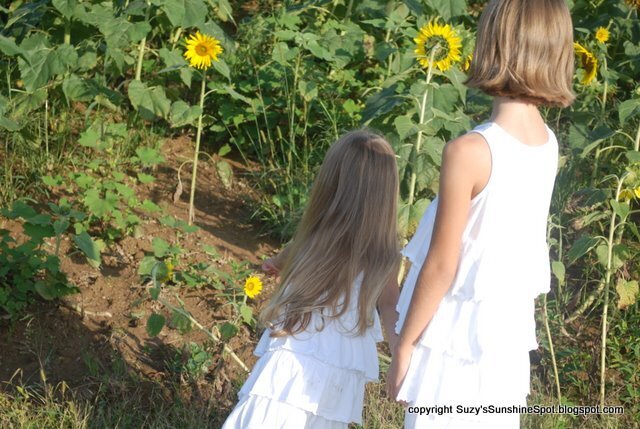 Girls in the Sunflowers