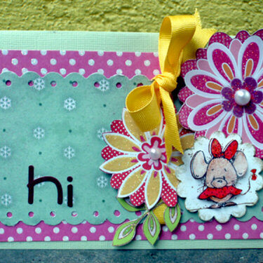 Hi card