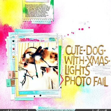 Cute-Dog-with-Xmas-Lights Photo Fail