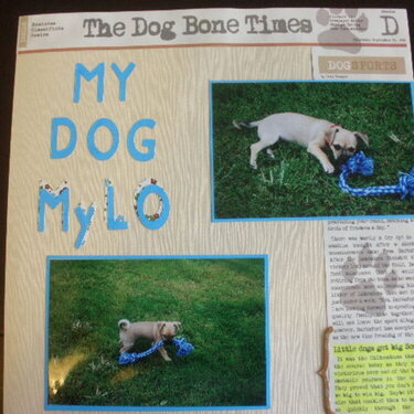 My Dog MyLo