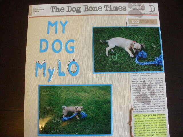 My Dog MyLo