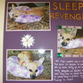 Sleep Revenge