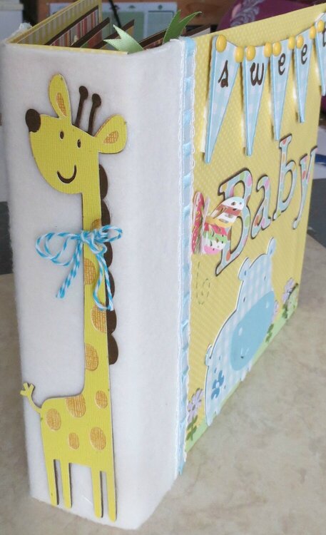 Baby Book Spine