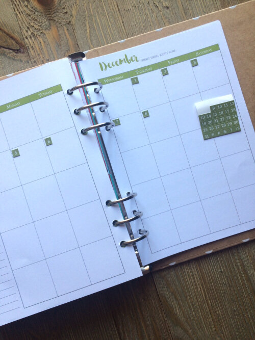 New Planner Product from Jillibean Soup - Day2Day