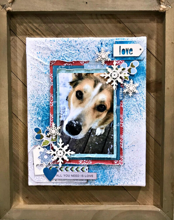 Snow Dog Canvas