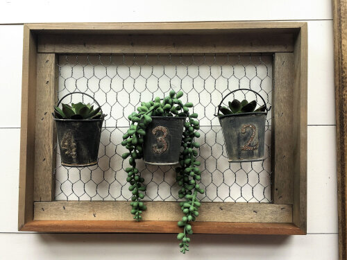 Succulent Wall Planter by Patty Folchert for Jillibean Soup