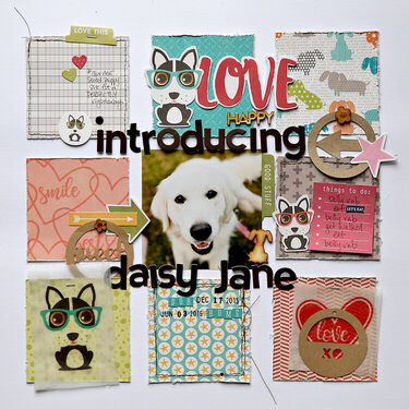 Introducing Daisy Jane Layout by Corrie Jones