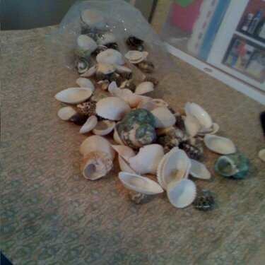 How many shells