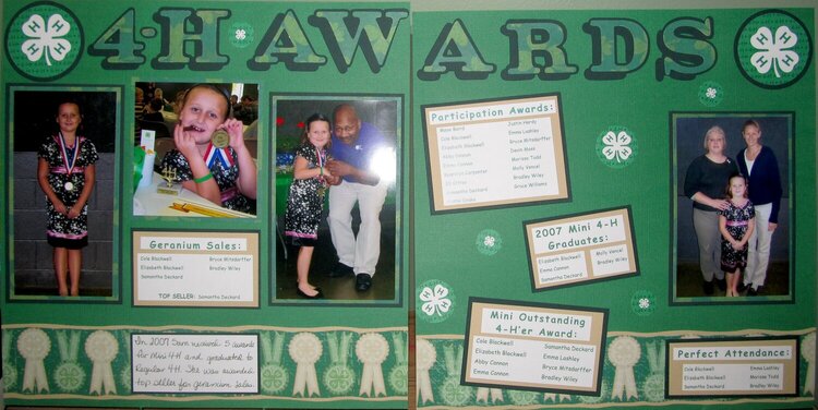 4-H Awards