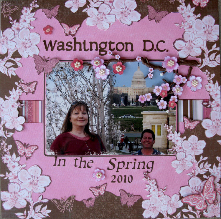 Washington D. C. in the Spring