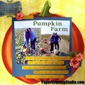 Pumpkin Farm