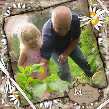 Picking potatoes with&quot;moffe&quot;