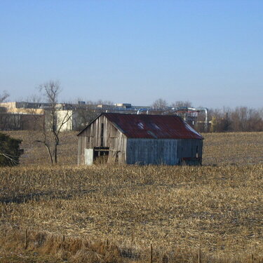 Barn