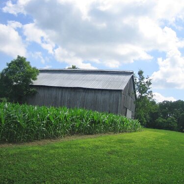 Barn