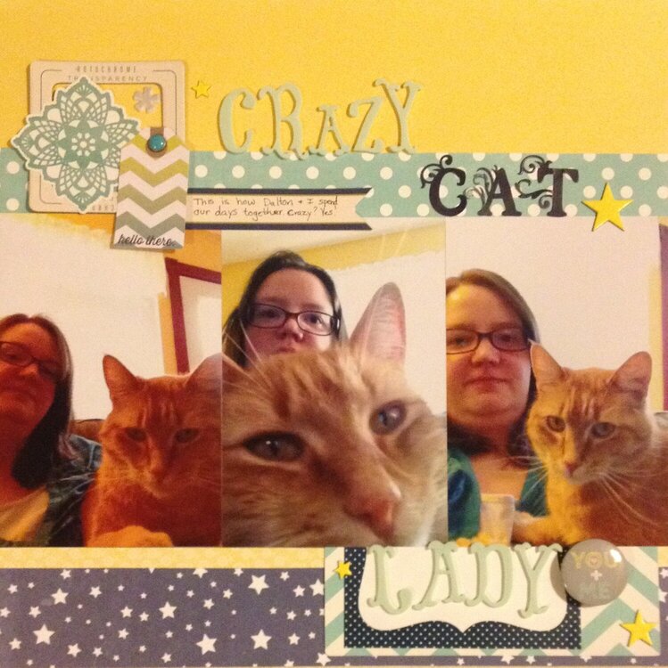 Crazy Cat Lady