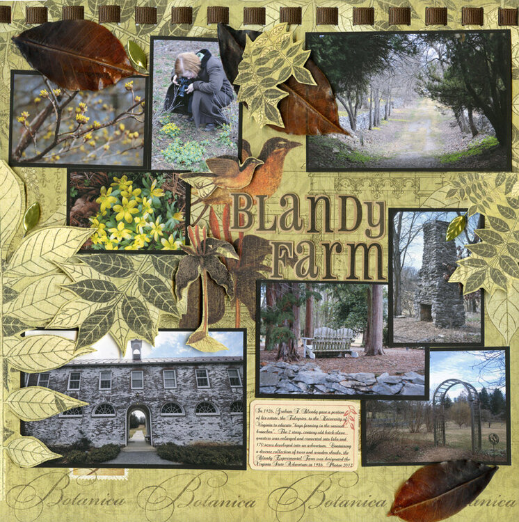 Blandy Farm