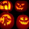 10/19/09 - pumpkin carvings