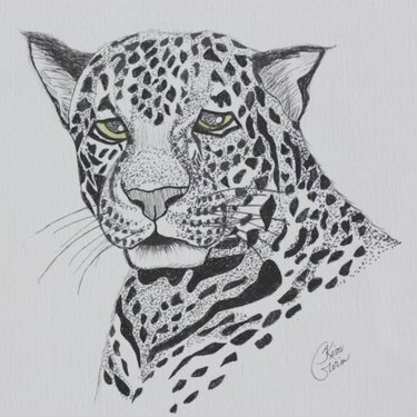 El Leopard