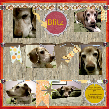 Many Faces of Blitz - March 2012