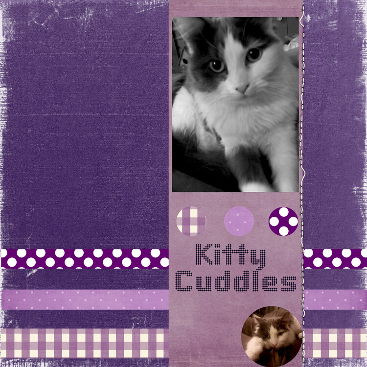 Egglplant Monochrome - Kitty Cuddles