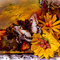Autumn Fairy (ReneaBouquet October Canvas Swap)