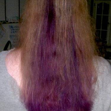 I Once Had Purple Hair....