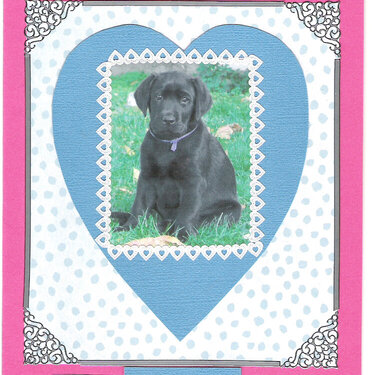 Puppy sympathy card