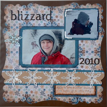 Blizzard 2010 *Bo Bunny Snowfall*