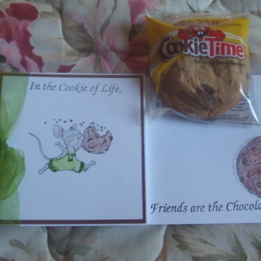 In the Cookie of Life, Friends are the Choc Chips (Front &amp; Inset).