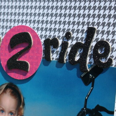 Born 2 Ride Details