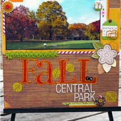 Fall In Central Park