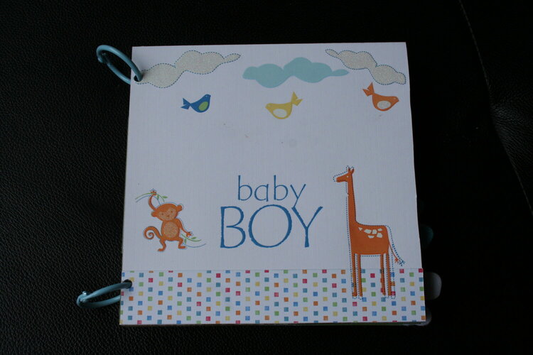 Baby Boy Mini Album