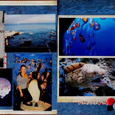 Monterey Bay Aquarium, pg 1-2