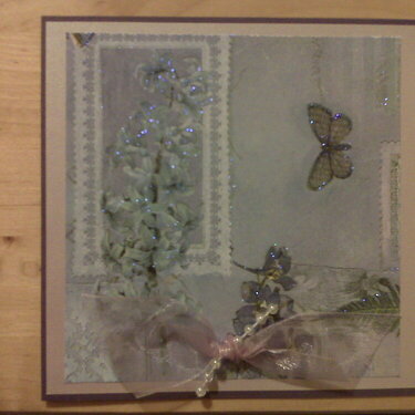 Blank butterfly card