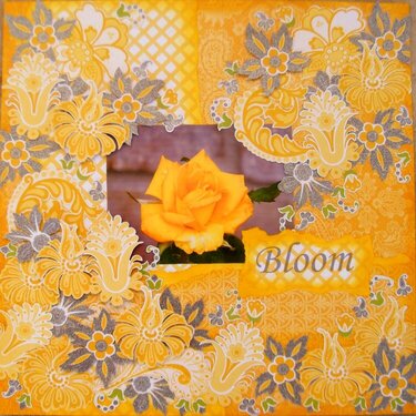 Bloom