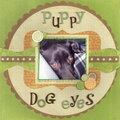 Puppy Dog Eyes