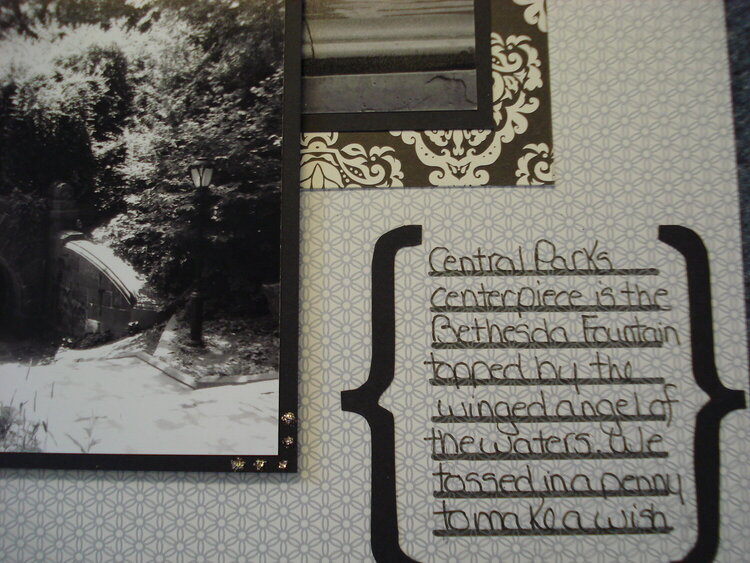 New York Album - Central Park Close-up Journalling