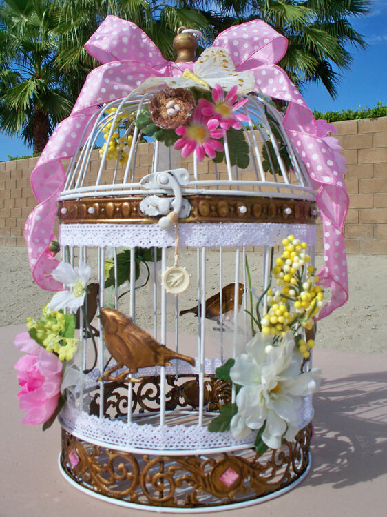 Altered Bird Cage