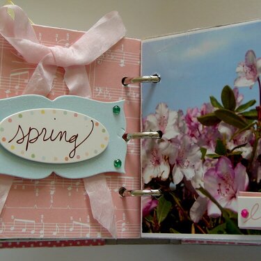 dear lizzy spring book