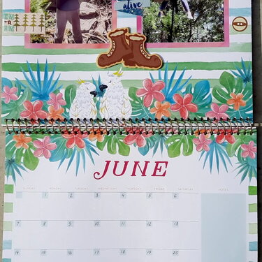 Calendar 2020. June