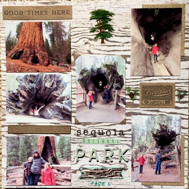 Sequoia National Park, page 1