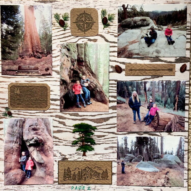 Sequoia NP, page 2