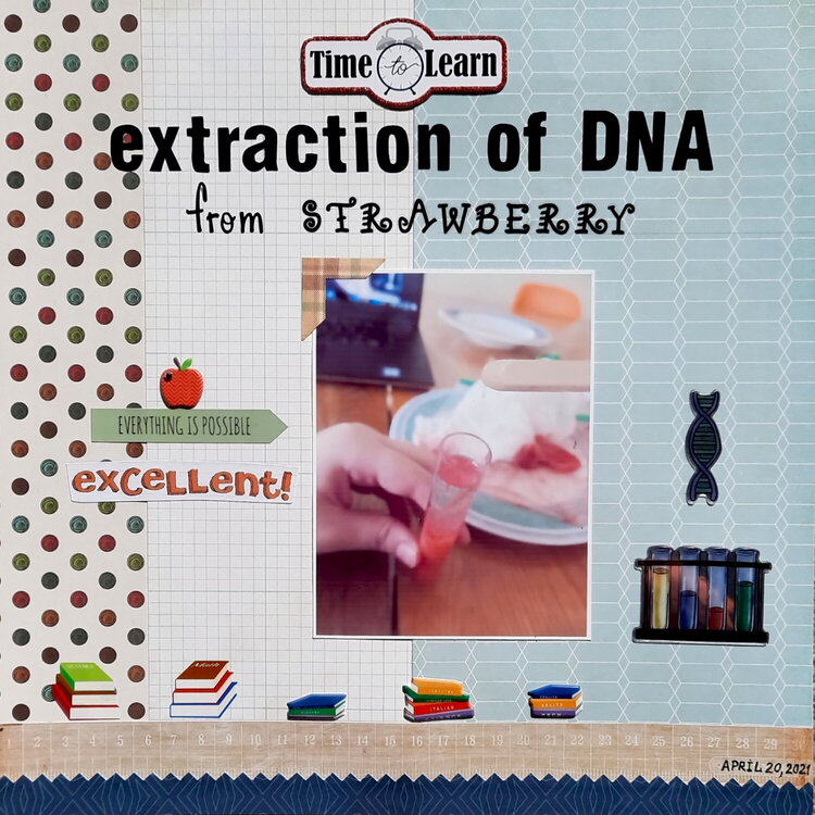 Extraction of DNA from Strawberry