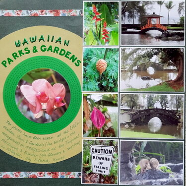 Hawaiian Parks and Gardens