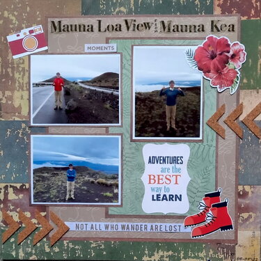 Mauna Loa View