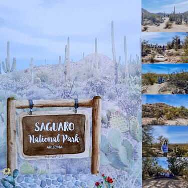 The Saguaro National Park, page 1