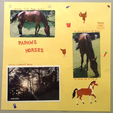 Pawpaws horses