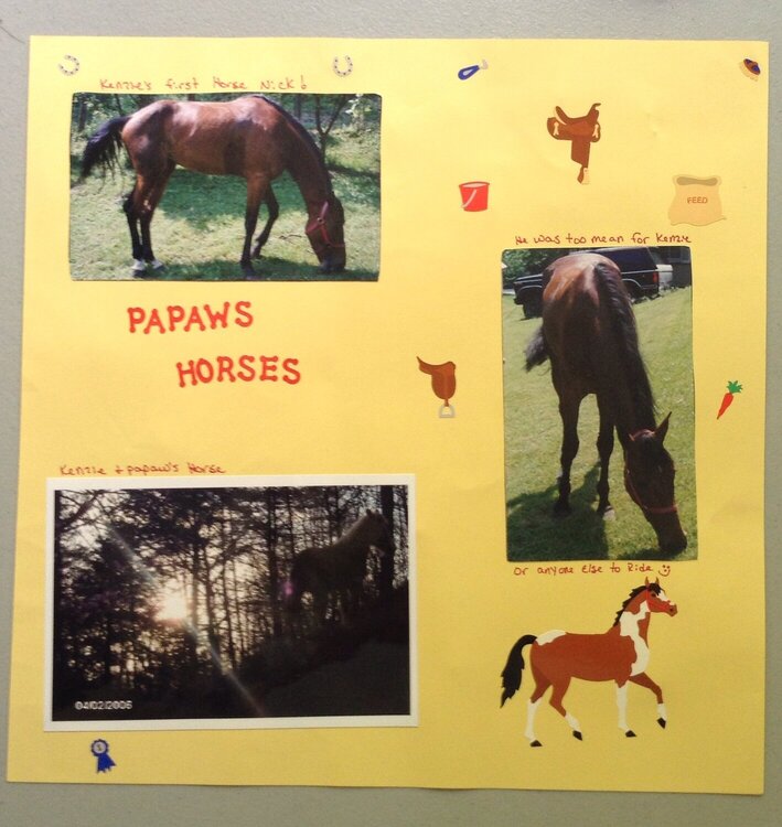 Pawpaws horses